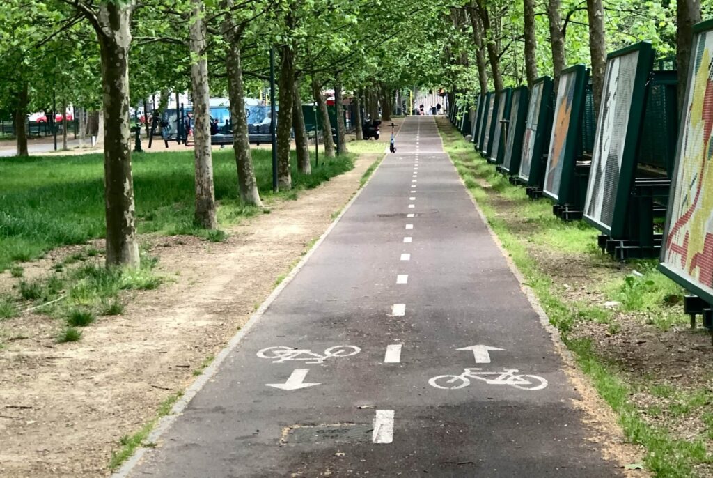 ciclabile a doppio senso sotto filare di alberi