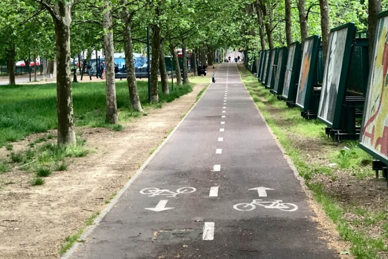 ciclabile a doppio senso sotto filare di alberi